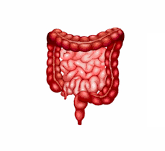 Colorectal Surgery
