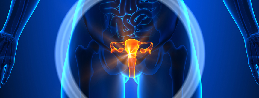 Gynecological Oncology