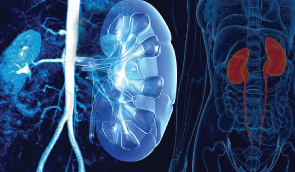 Urology
