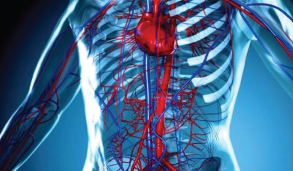 Vascular Surgery