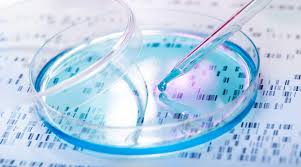 Biochemistry & Molecular Biology