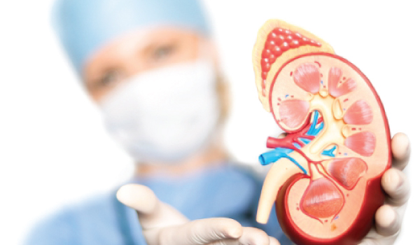 Paediatric Nephrology